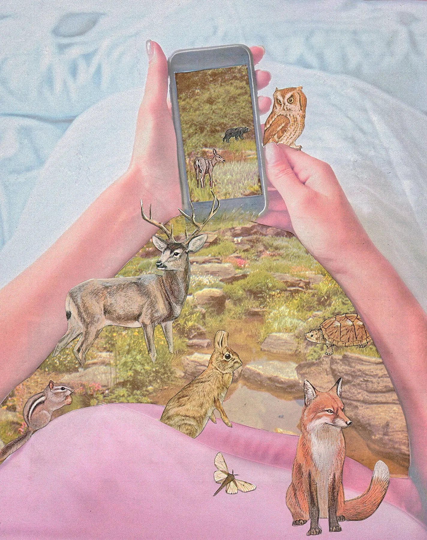 Surreal collage of white person holding up their phone with both hands while lying down (photo taken from their perspective). The screen of the phone and underlying blanket are superimposed with a forest scene. It is green and lush with a small river running through it. A doe and black bear can be seen walking on the phone screen, and other animals including a turtle, buck, hare, chipmunk, owl and fox are present outside the phone. This gathering of animals symbolizes accessing community through a virtual space.
